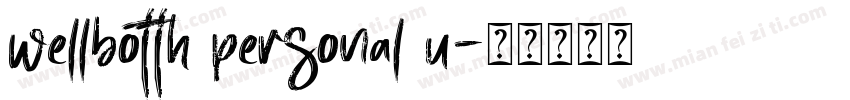wellbotth personal u字体转换